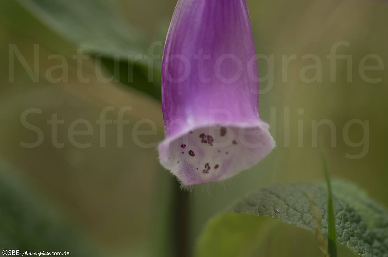 _IGP6912